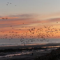 IMG_1101 12/09/2018 - Arrivée le soir sur la fameuse falaise de 12 km qui abrite toute l'année la concentration la plus grande au monde de perroquets (34 000). This was...